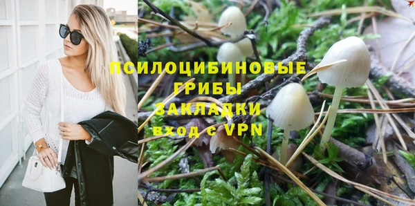 круглые Каменногорск