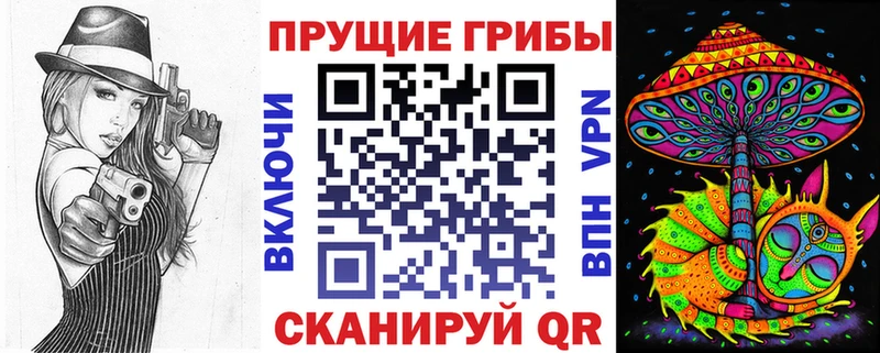 блэк спрут ТОР  Перевоз  Псилоцибиновые грибы GOLDEN TEACHER 